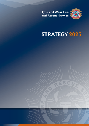2025战略